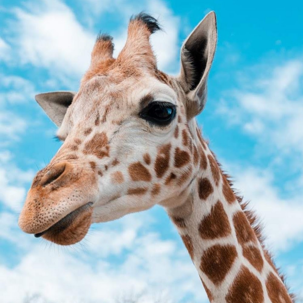 Meet your Posher, Maritza